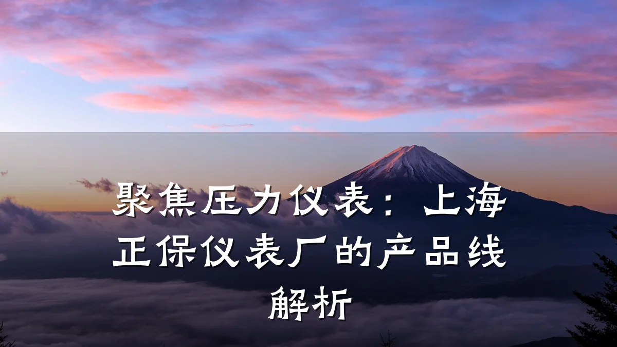 聚焦压力仪表：上海正保仪表厂的产品线解析