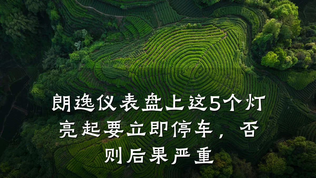 朗逸仪表盘上这5个灯亮起要立即停车，否则后果严重