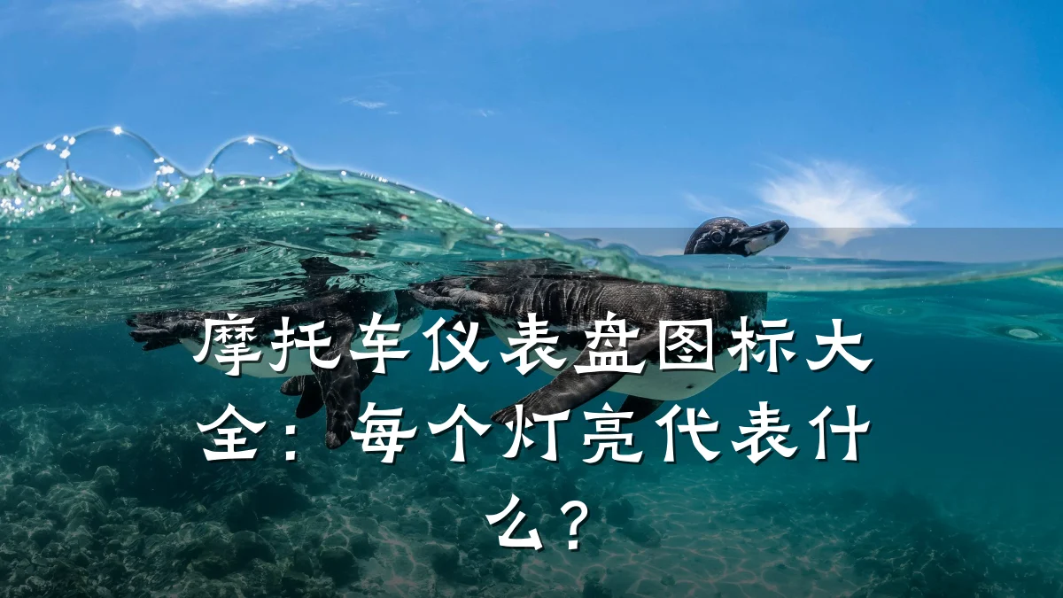 摩托车仪表盘图标大全：每个灯亮代表什么？
