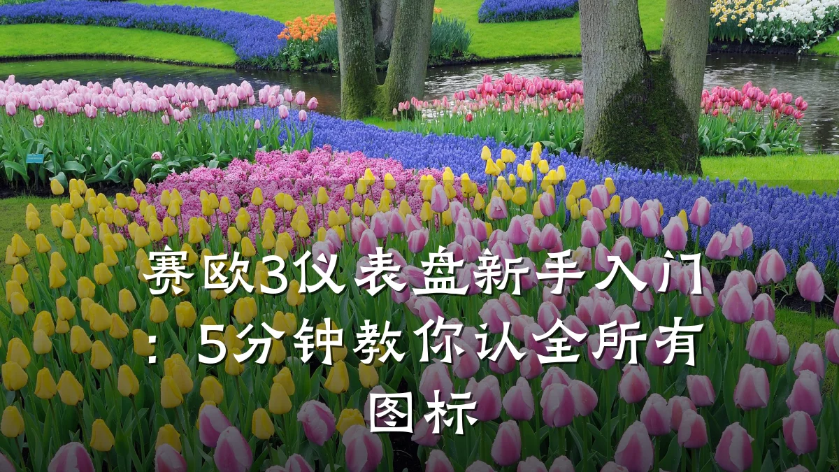 赛欧3仪表盘新手入门:5分钟教你认全所有图标