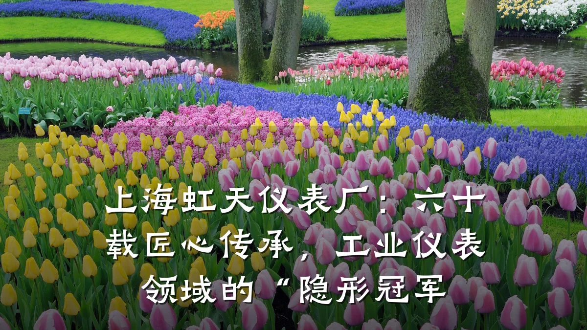 上海虹天仪表厂:六十载匠心传承,工业仪表领域的“隐形冠军