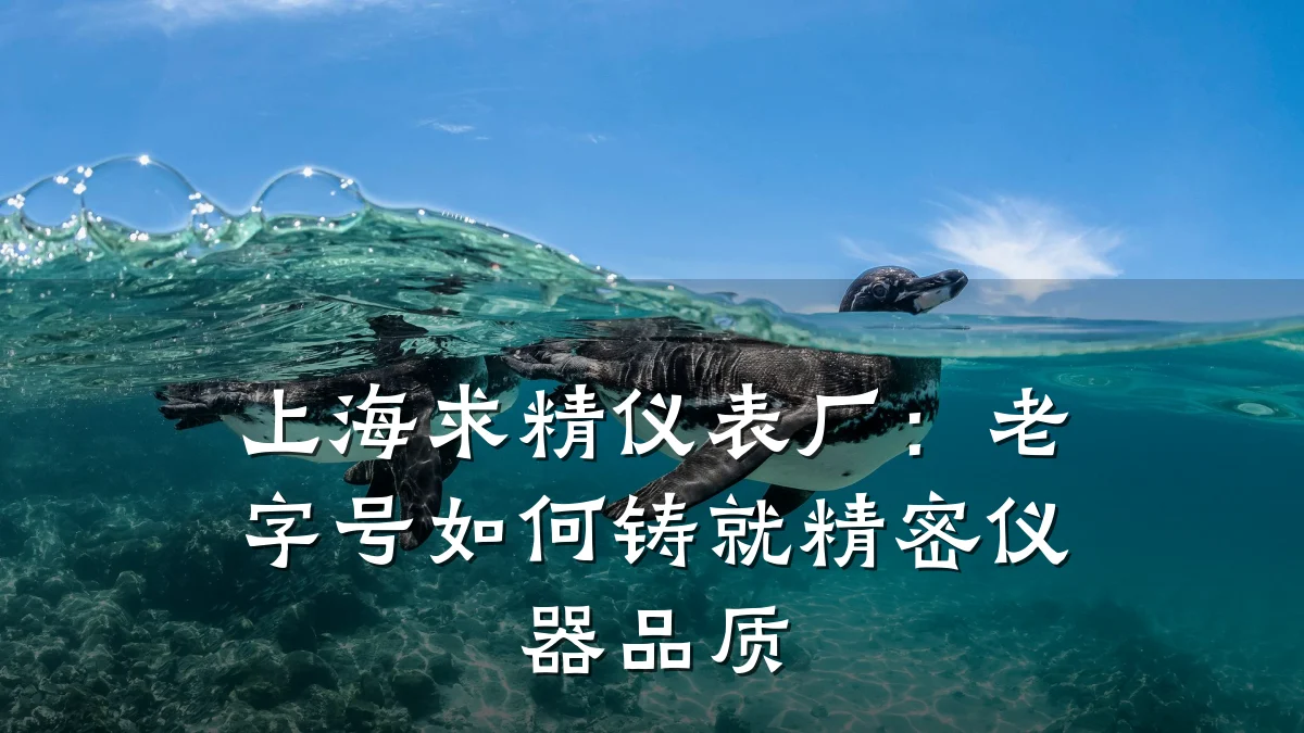 上海求精仪表厂:老字号如何铸就精密仪器品质