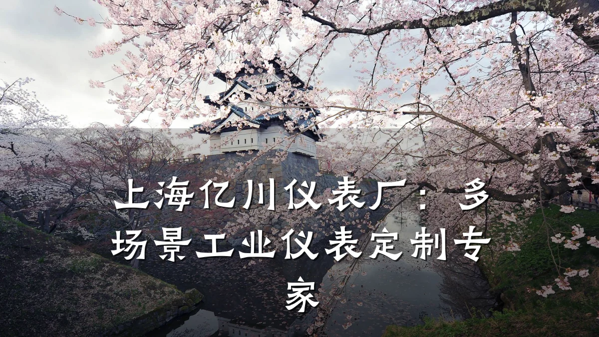 上海亿川仪表厂:多场景工业仪表定制专家