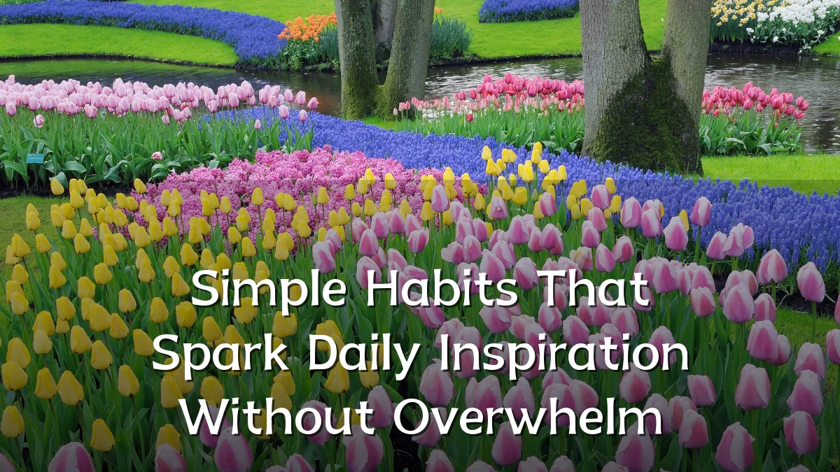 Simple Habits That Spark Daily Inspiration Without Overwhelm
