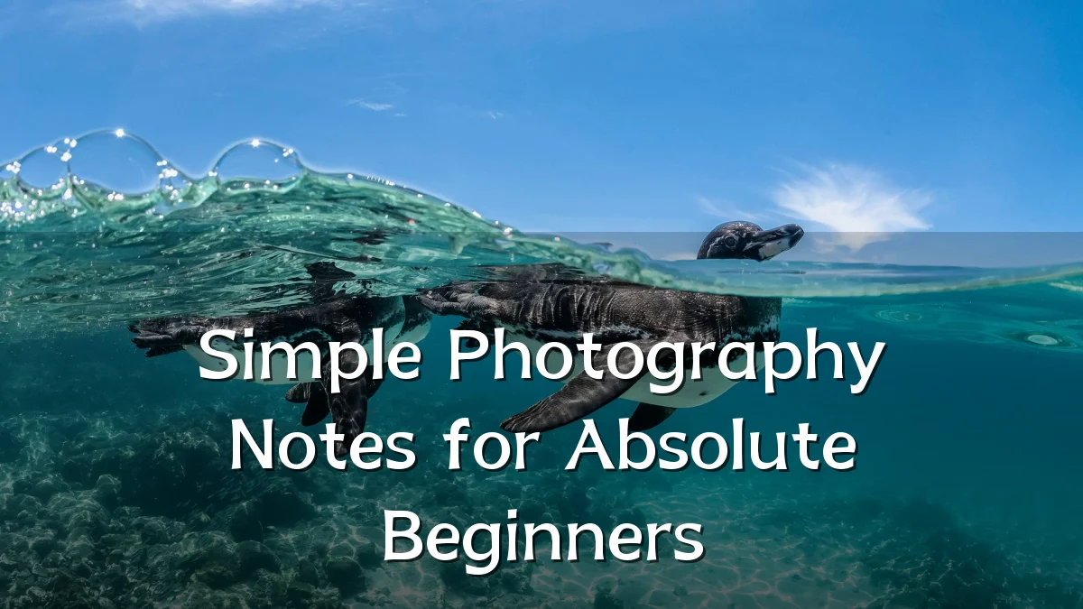 Simple Photography Notes for Absolute Beginners