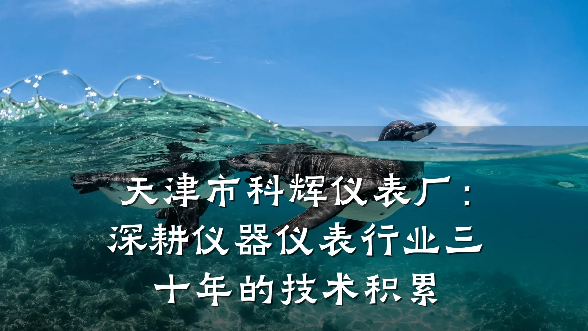 天津市科辉仪表厂：深耕仪器仪表行业三十年的技术积累