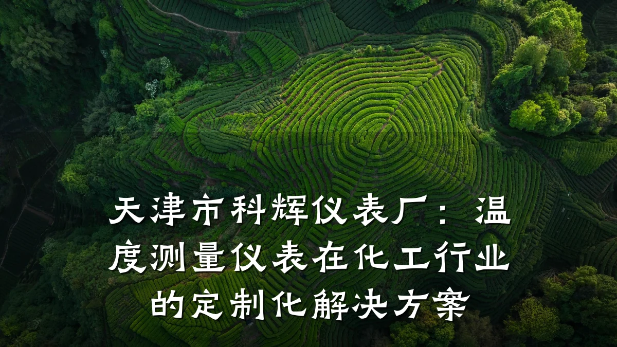 天津市科辉仪表厂：温度测量仪表在化工行业的定制化解决方案
