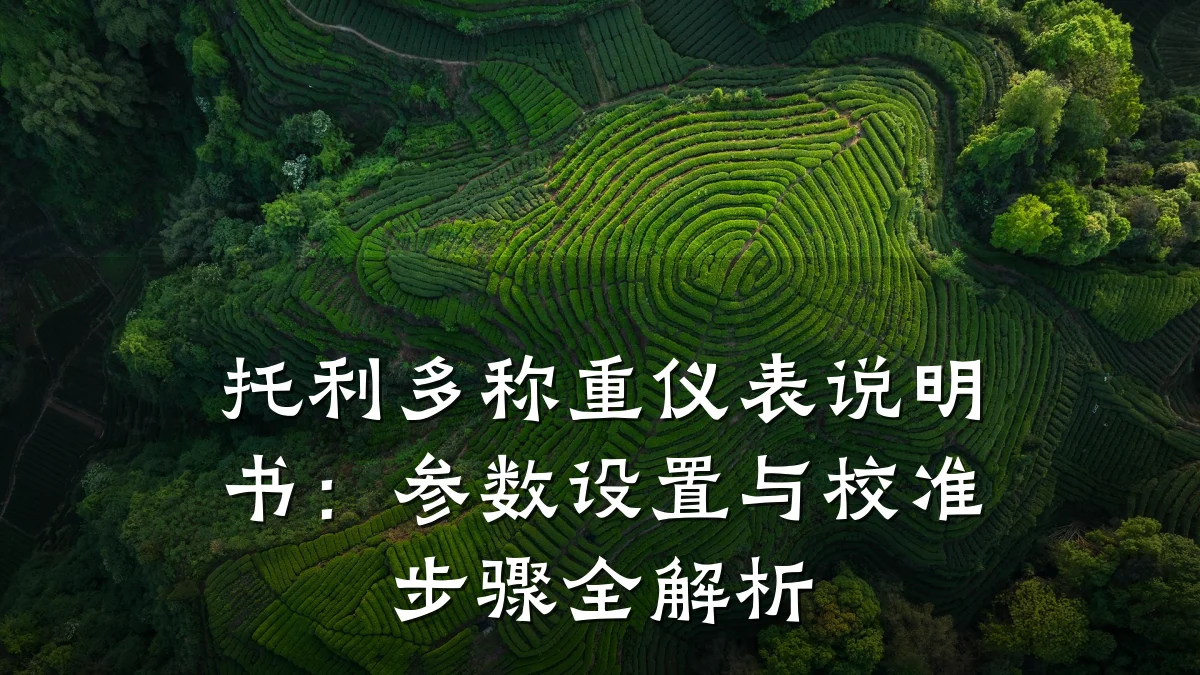 托利多称重仪表说明书:参数设置与校准步骤全解析