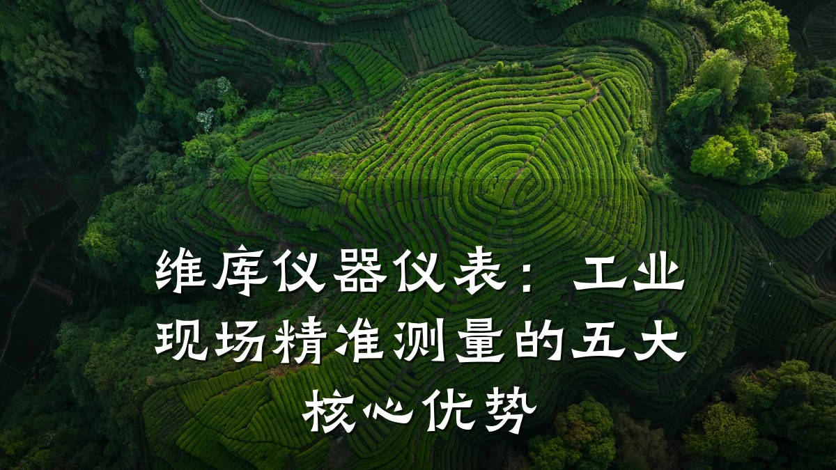 维库仪器仪表:工业现场精准测量的五大核心优势