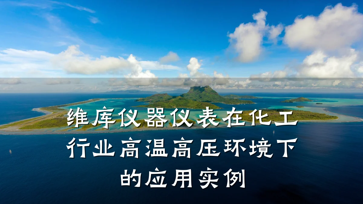 维库仪器仪表在化工行业高温高压环境下的应用实例