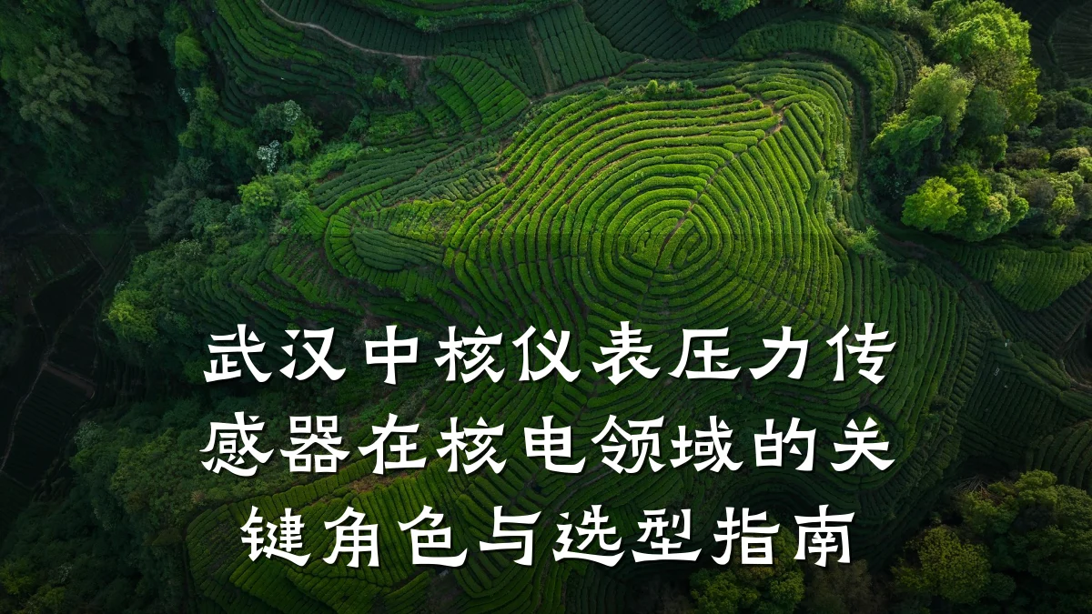 武汉中核仪表压力传感器在核电领域的关键角色与选型指南