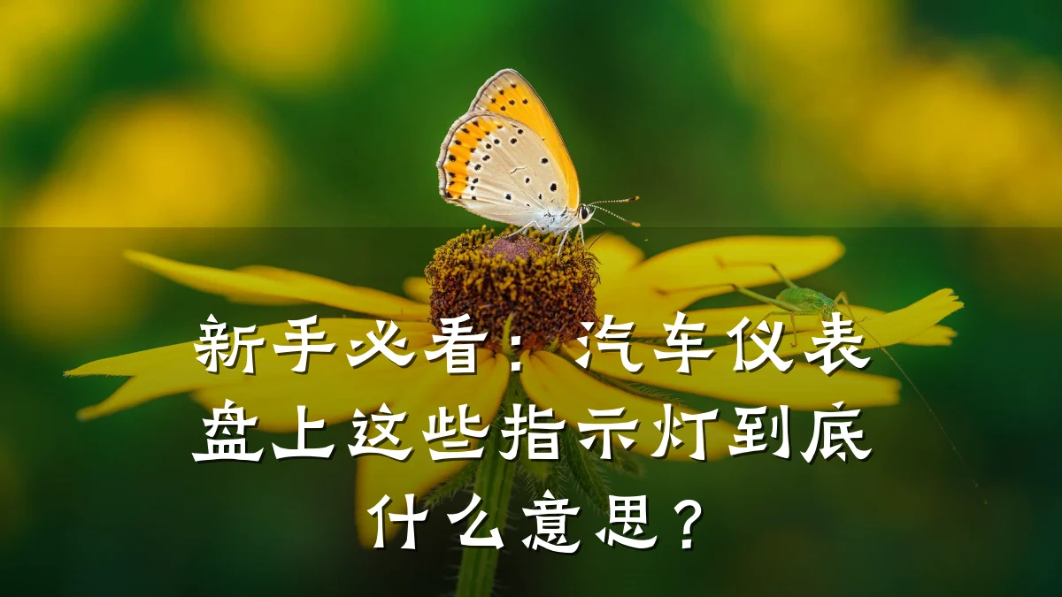 新手必看：汽车仪表盘上这些指示灯到底什么意思？