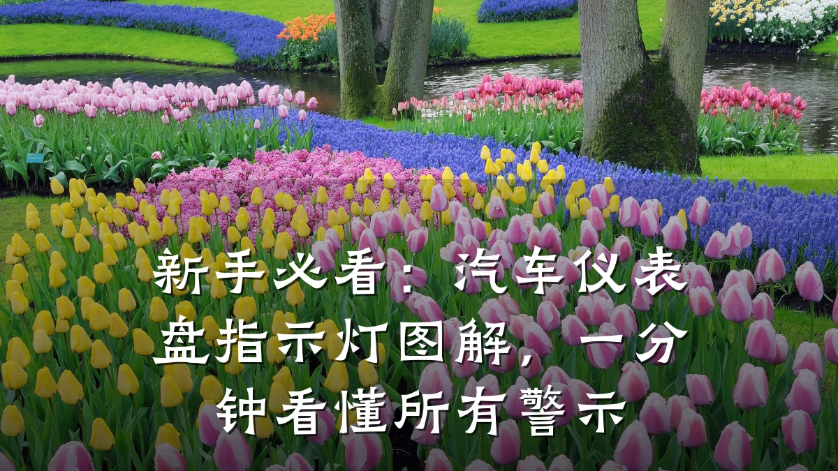 新手必看:汽车仪表盘指示灯图解,一分钟看懂所有警示