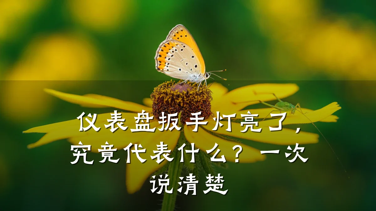 仪表盘扳手灯亮了,究竟代表什么?一次说清楚