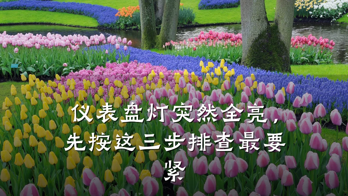 仪表盘灯突然全亮,先按这三步排查最要紧