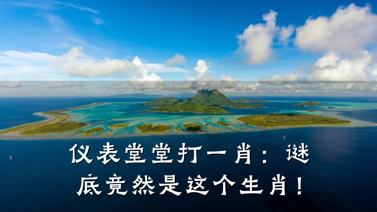 仪表堂堂打一肖:谜底竟然是这个生肖!