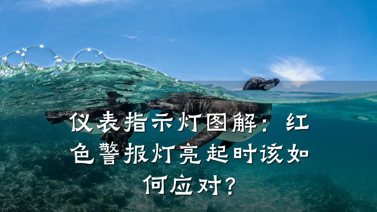 仪表指示灯图解:红色警报灯亮起时该如何应对?