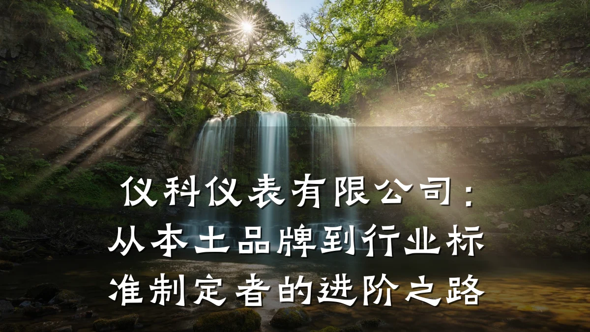仪科仪表有限公司:从本土品牌到行业标准制定者的进阶之路