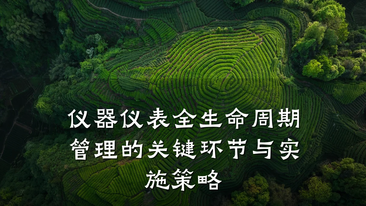 仪器仪表全生命周期管理的关键环节与实施策略