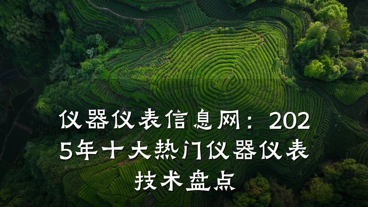 仪器仪表信息网：2025年十大热门仪器仪表技术盘点