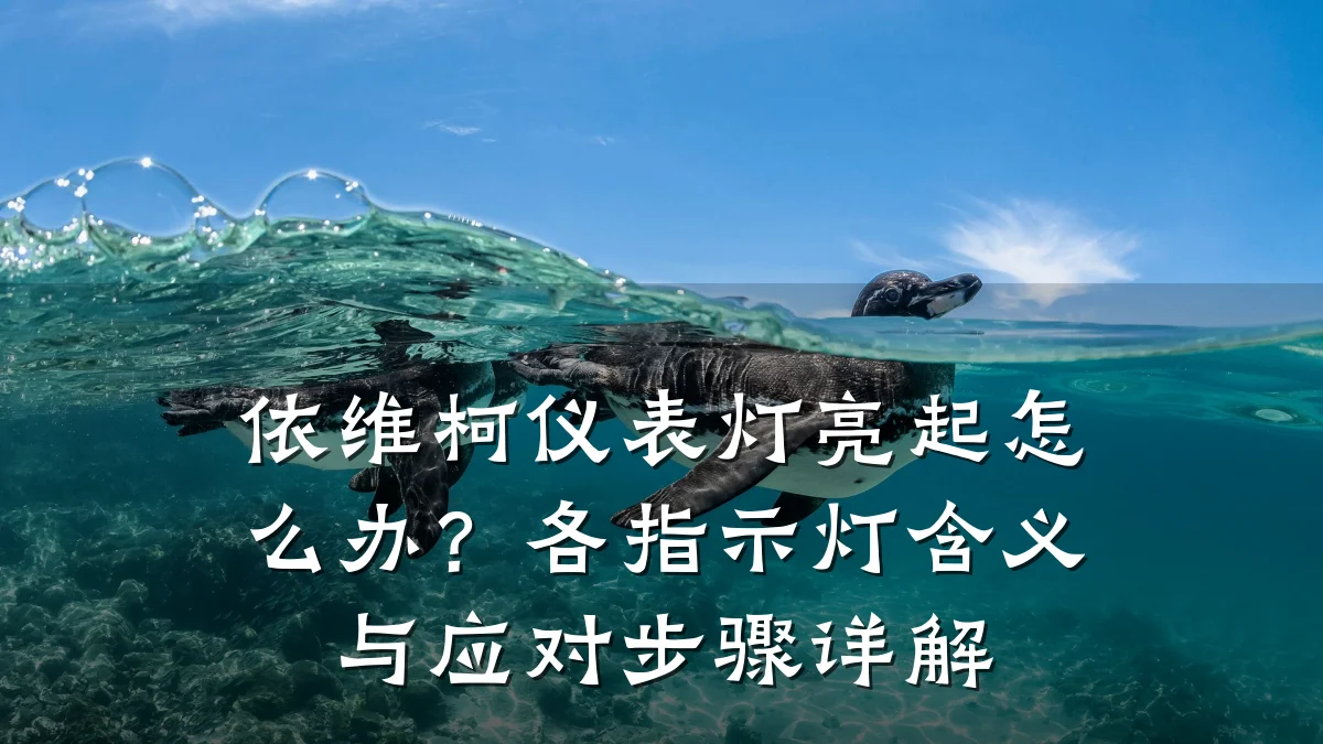 依维柯仪表灯亮起怎么办?各指示灯含义与应对步骤详解