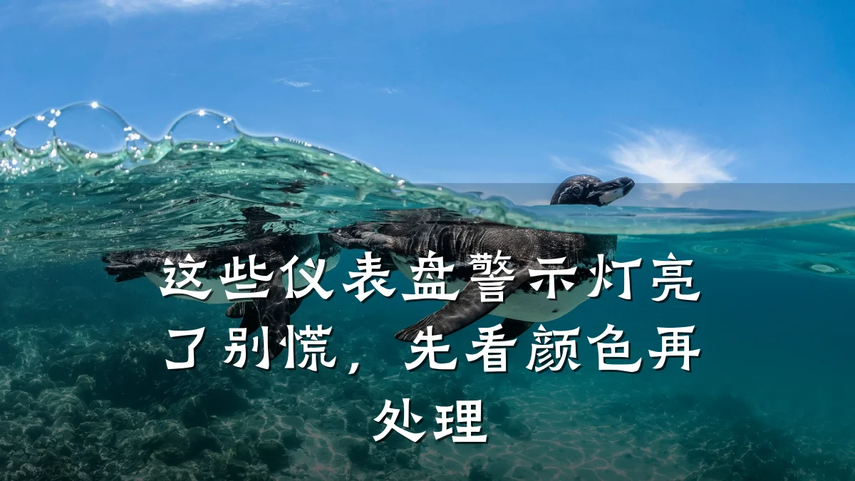 这些仪表盘警示灯亮了别慌,先看颜色再处理