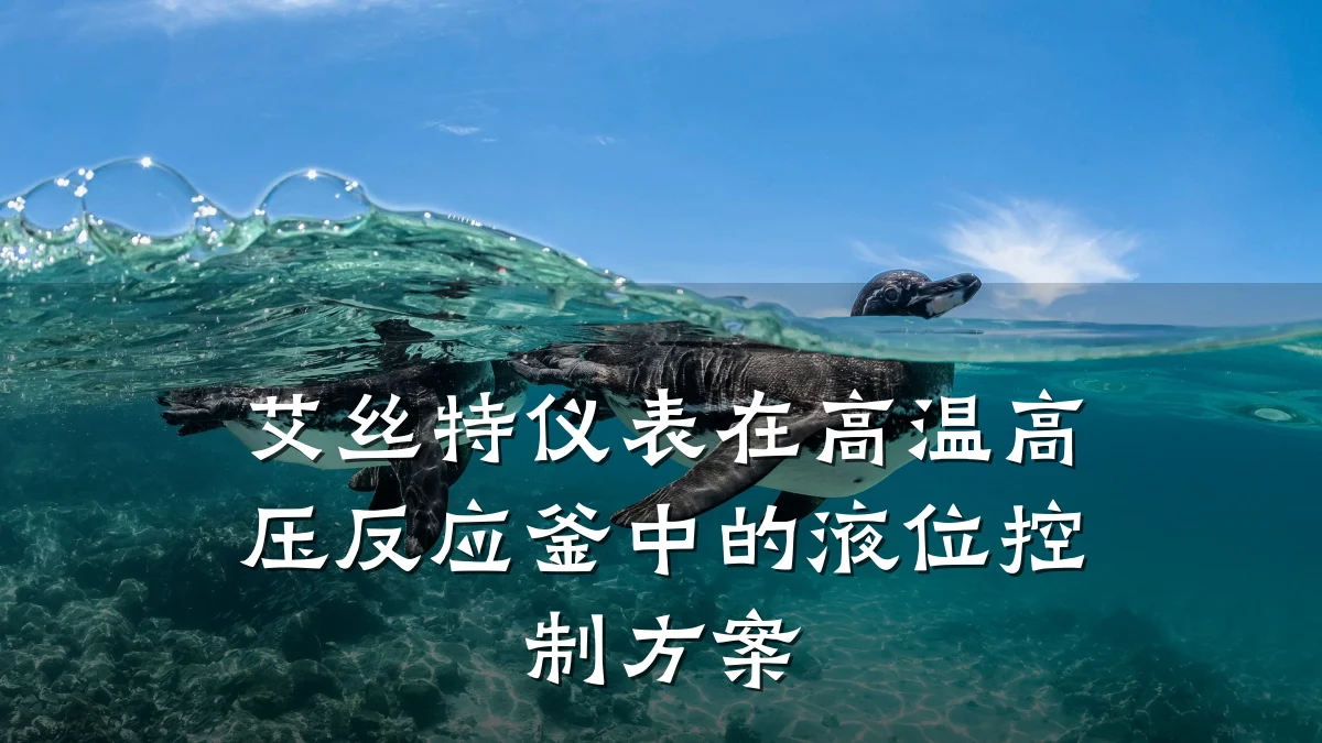 艾丝特仪表在高温高压反应釜中的液位控制方案