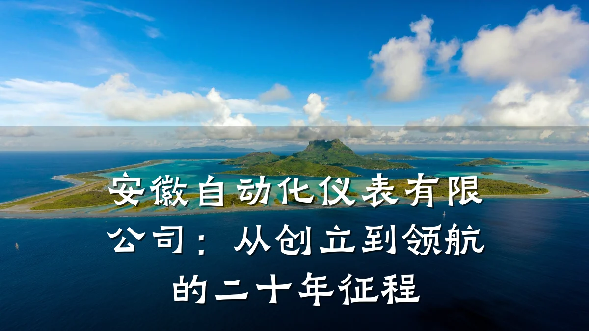 安徽自动化仪表有限公司:从创立到领航的二十年征程