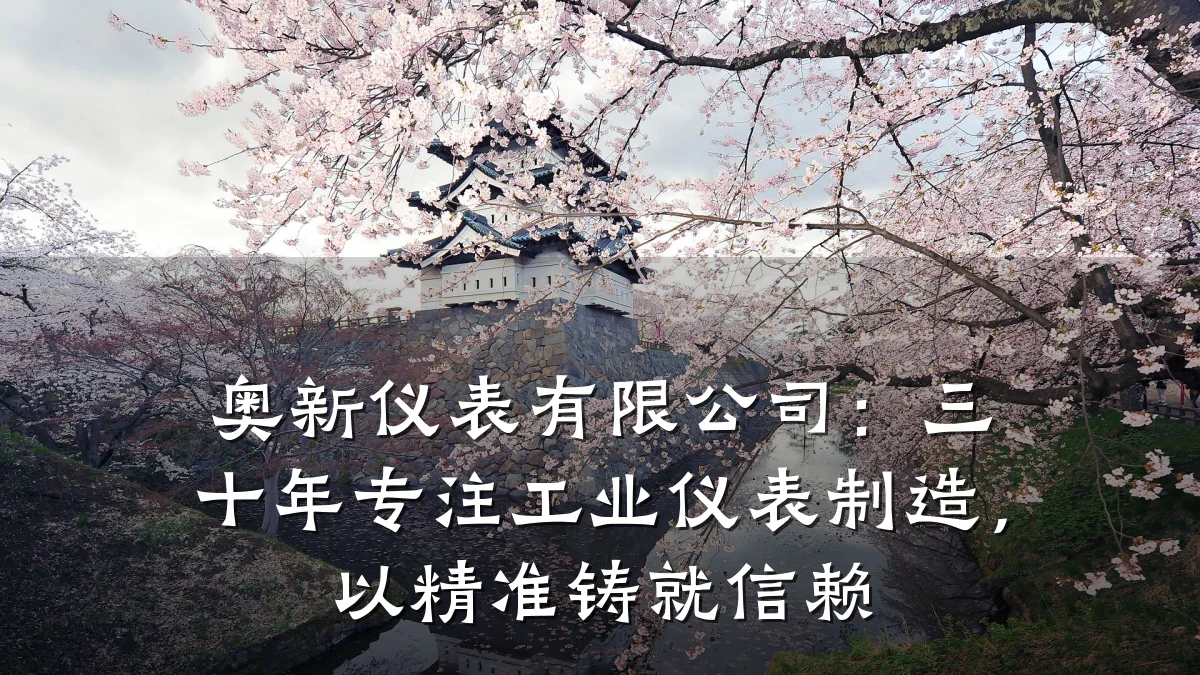 奥新仪表有限公司:三十年专注工业仪表制造,以精准铸就信赖
