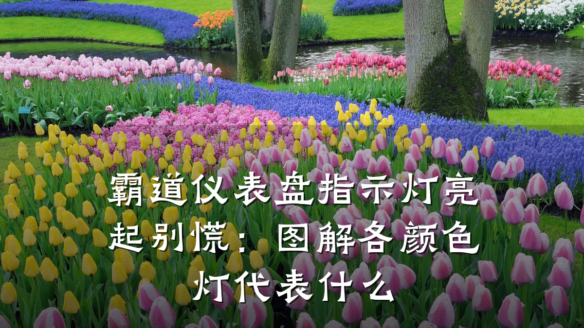 霸道仪表盘指示灯亮起别慌:图解各颜色灯代表什么