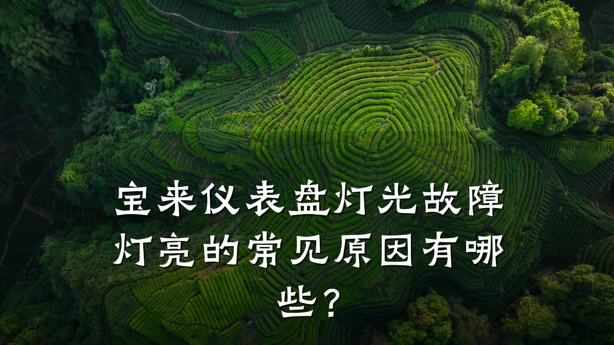 宝来仪表盘灯光故障灯亮的常见原因有哪些?