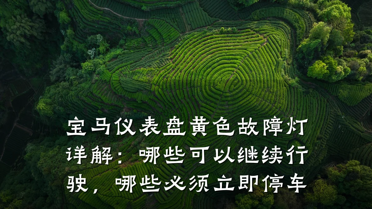 宝马仪表盘黄色故障灯详解:哪些可以继续行驶,哪些必须立即停车