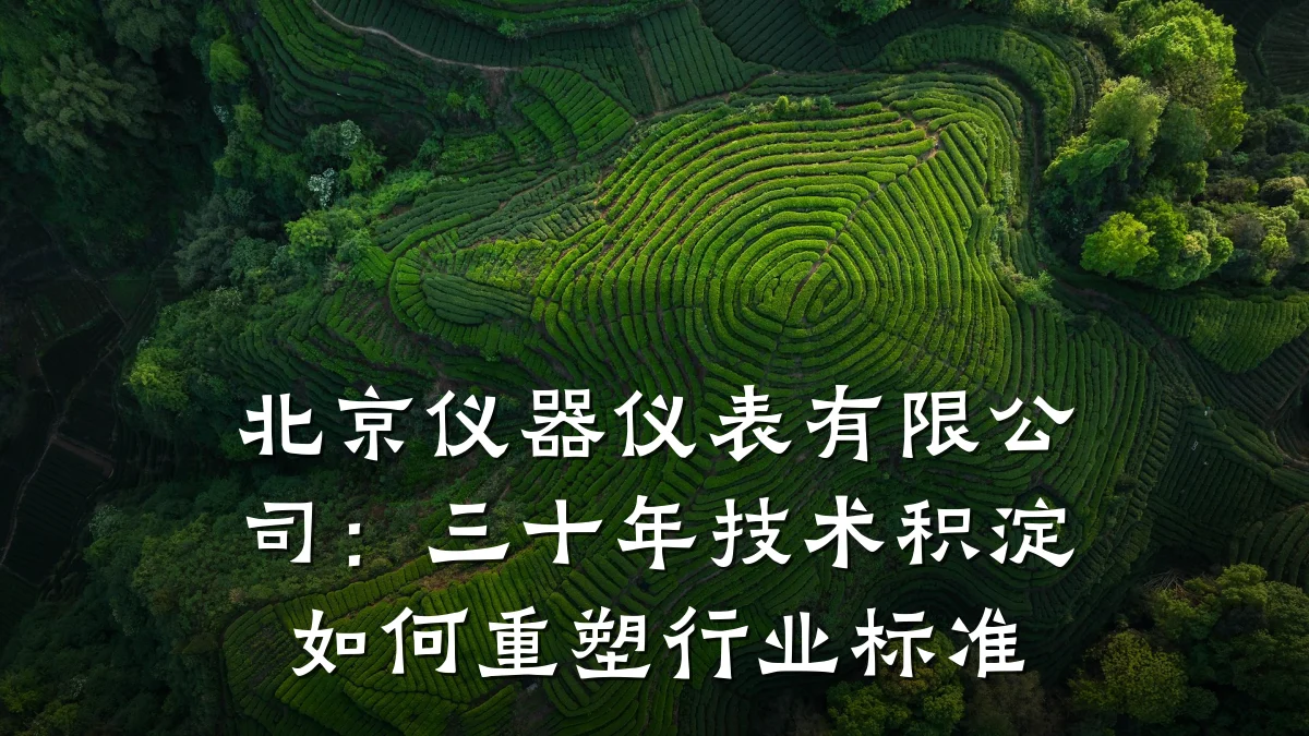 北京仪器仪表有限公司:三十年技术积淀如何重塑行业标准