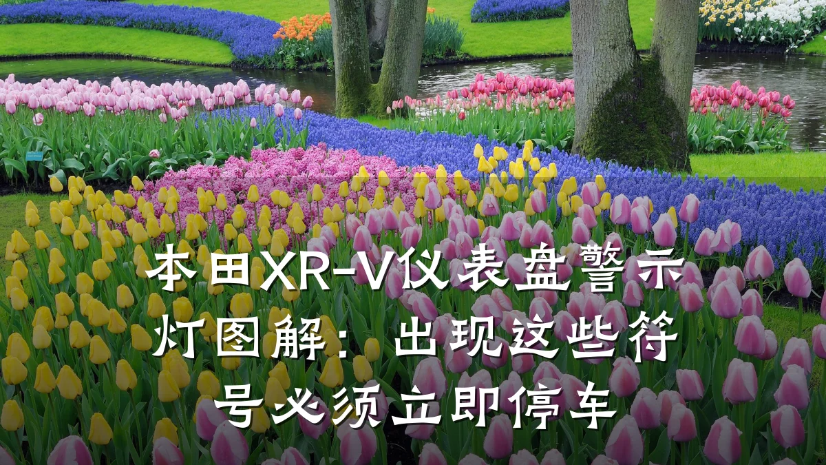 本田XR-V仪表盘警示灯图解:出现这些符号必须立即停车