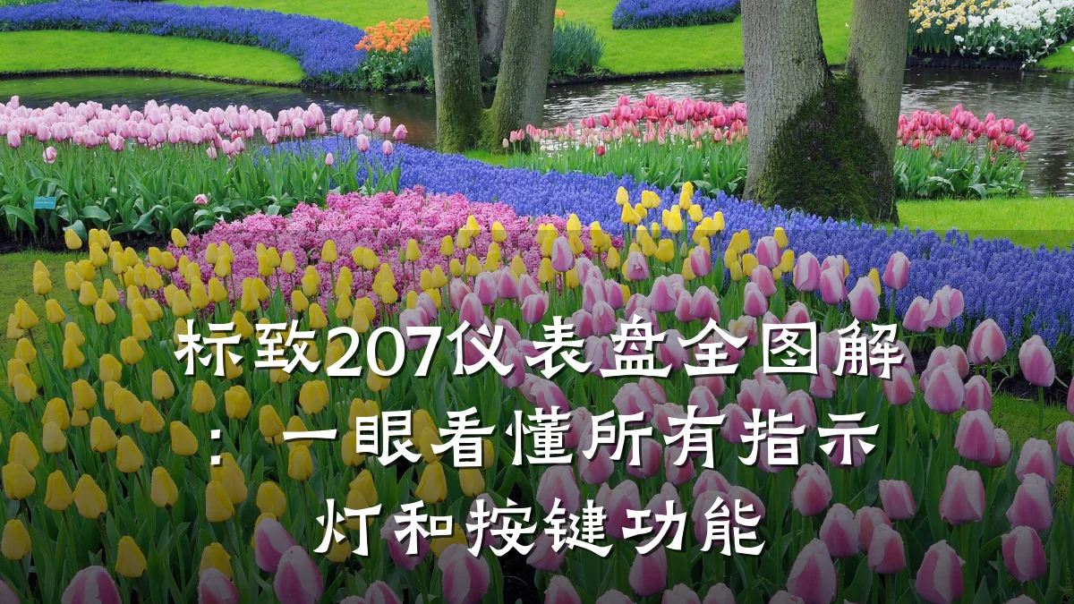 标致207仪表盘全图解:一眼看懂所有指示灯和按键功能