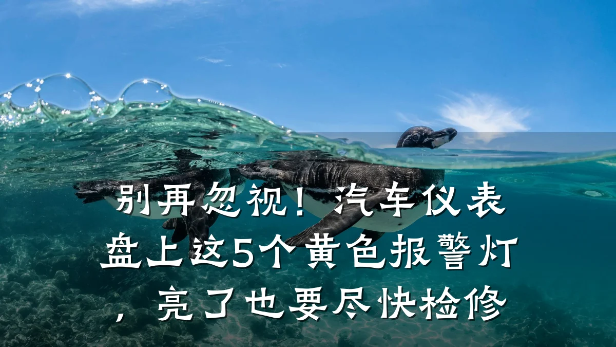别再忽视!汽车仪表盘上这5个黄色报警灯,亮了也要尽快检修