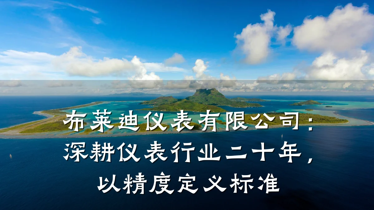 布莱迪仪表有限公司:深耕仪表行业二十年,以精度定义标准
