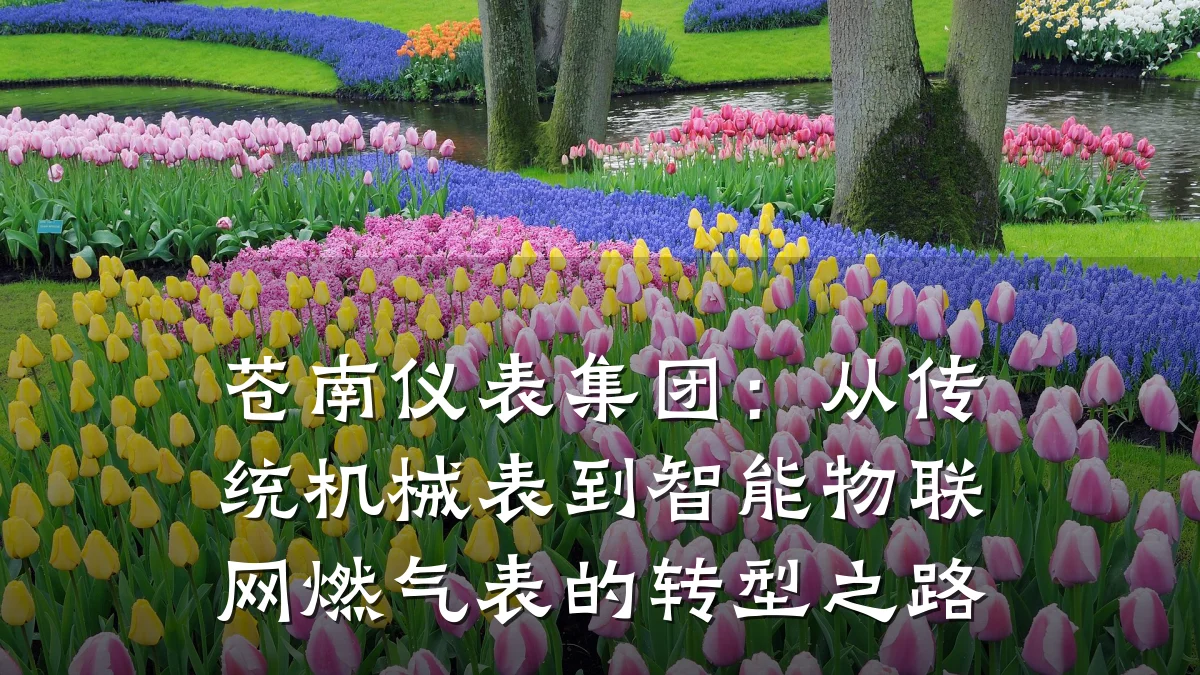 苍南仪表集团:从传统机械表到智能物联网燃气表的转型之路