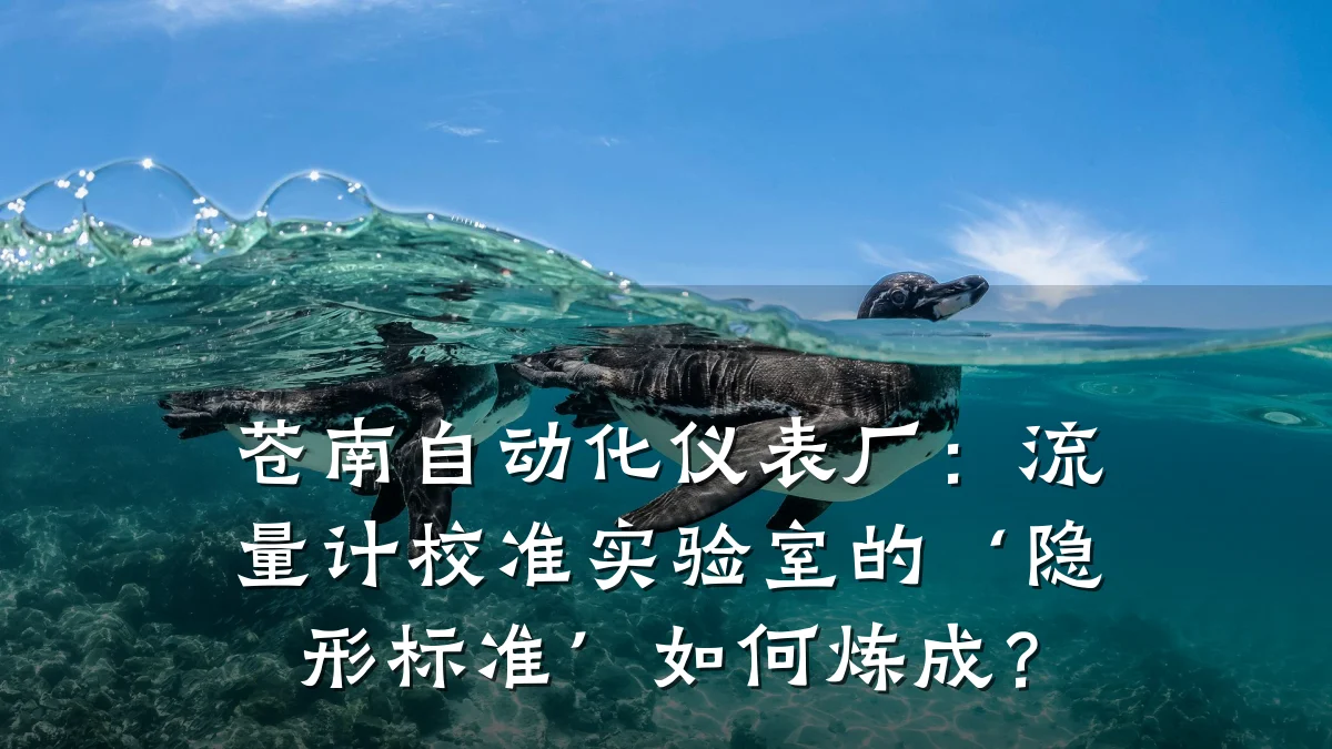 苍南自动化仪表厂：流量计校准实验室的‘隐形标准’如何炼成？