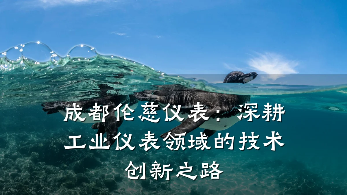 成都伦慈仪表:深耕工业仪表领域的技术创新之路