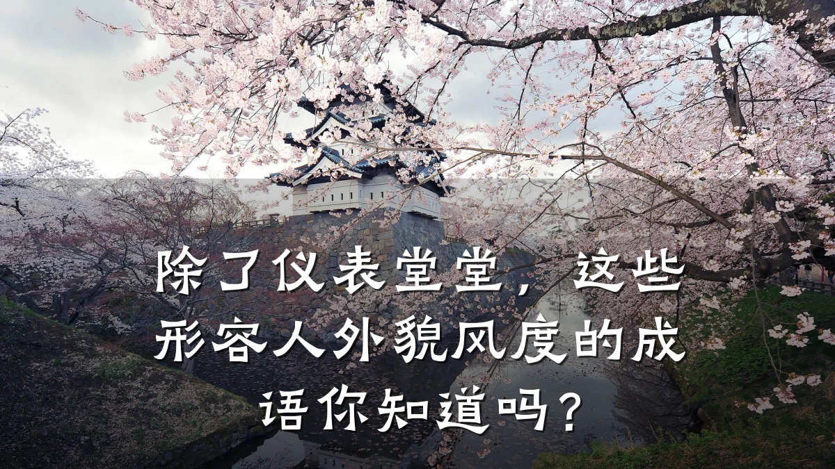 除了仪表堂堂,这些形容人外貌风度的成语你知道吗?