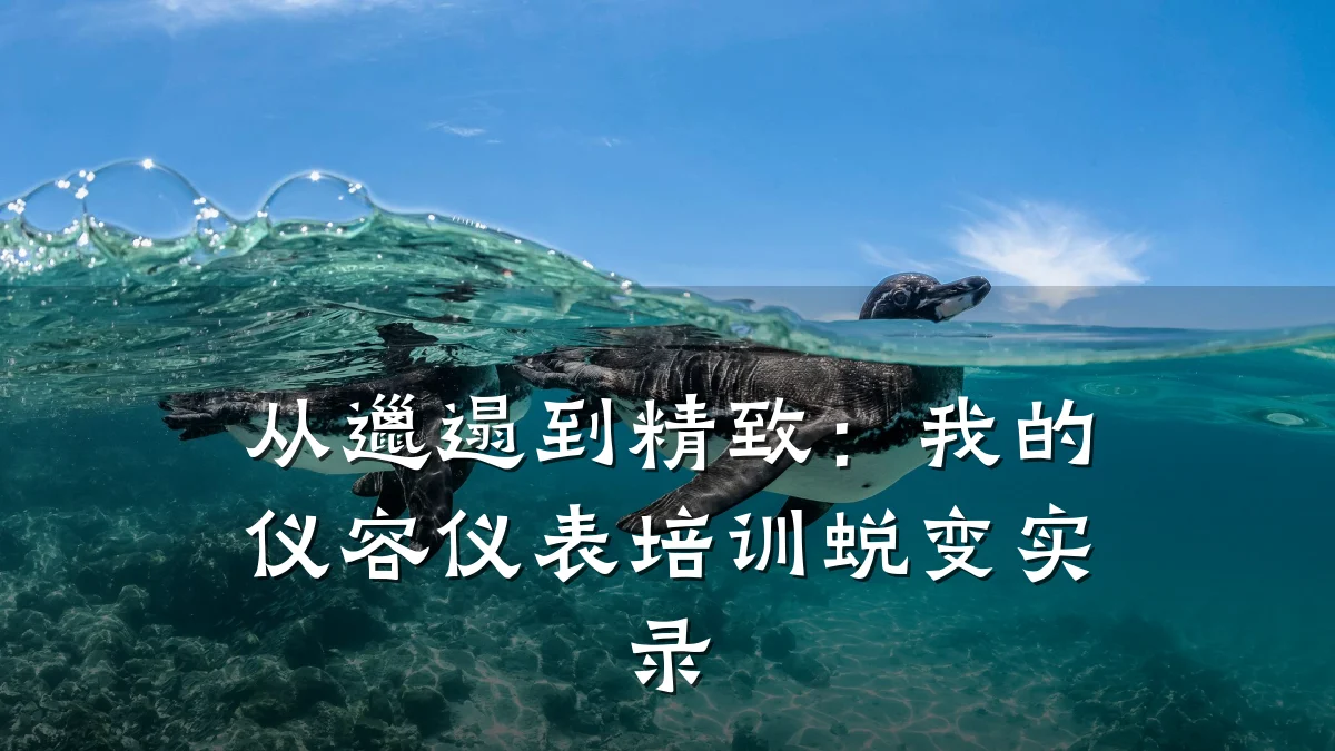 从邋遢到精致:我的仪容仪表培训蜕变实录