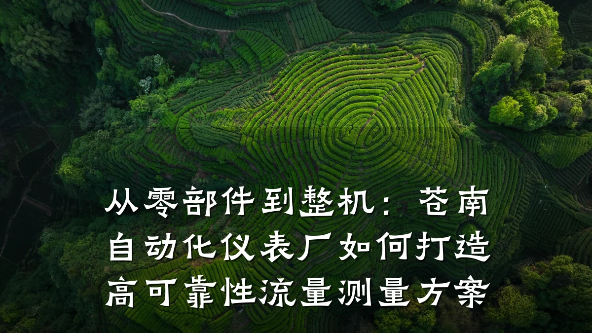 从零部件到整机：苍南自动化仪表厂如何打造高可靠性流量测量方案