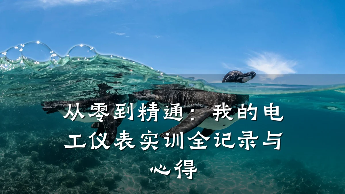 从零到精通:我的电工仪表实训全记录与心得