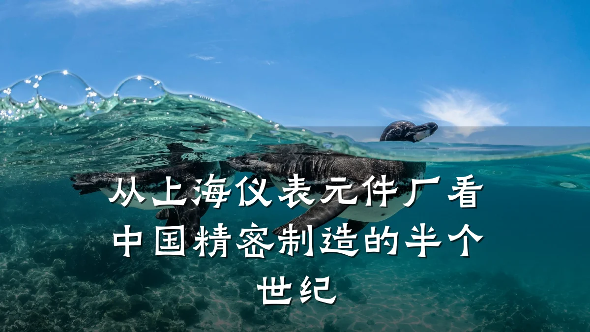 从上海仪表元件厂看中国精密制造的半个世纪