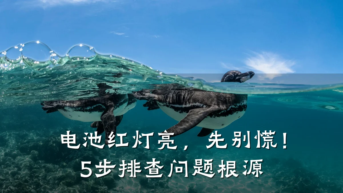 电池红灯亮,先别慌!5步排查问题根源