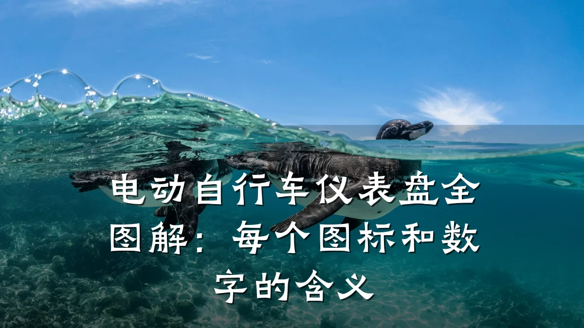 电动自行车仪表盘全图解：每个图标和数字的含义