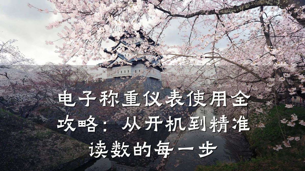 电子称重仪表使用全攻略:从开机到精准读数的每一步