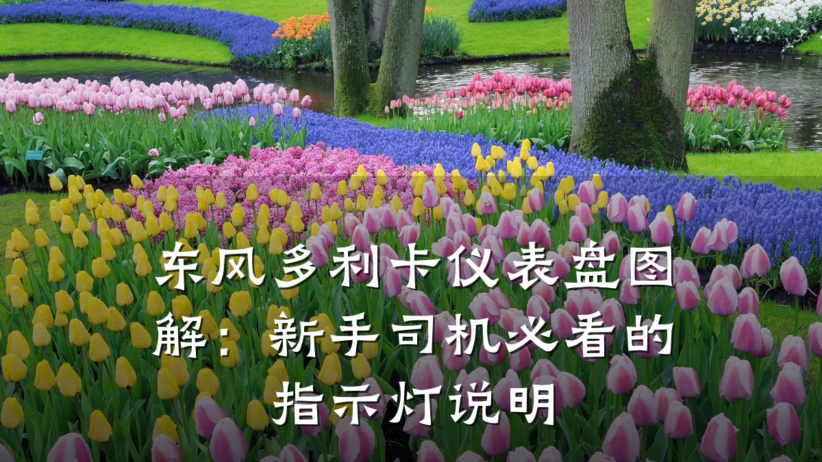 东风多利卡仪表盘图解:新手司机必看的指示灯说明