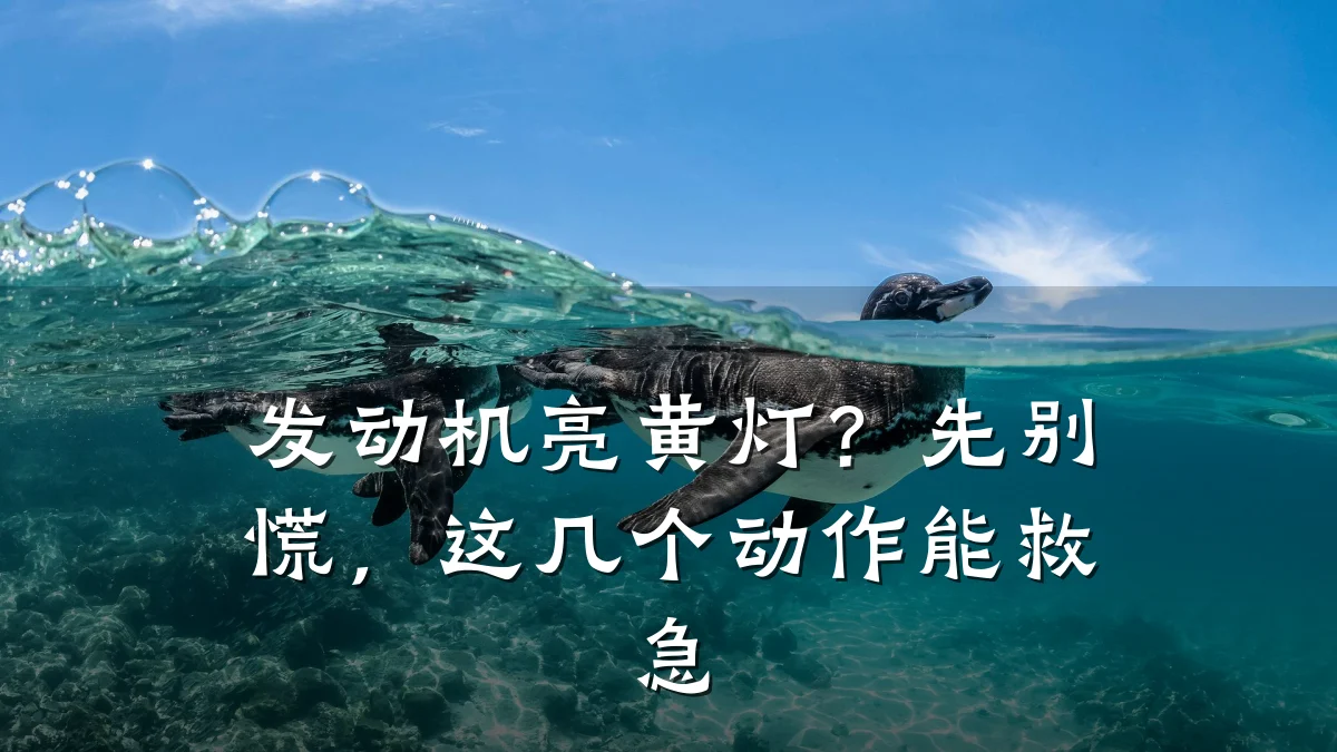 发动机亮黄灯?先别慌,这几个动作能救急